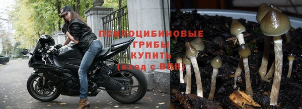 спиды Гусиноозёрск